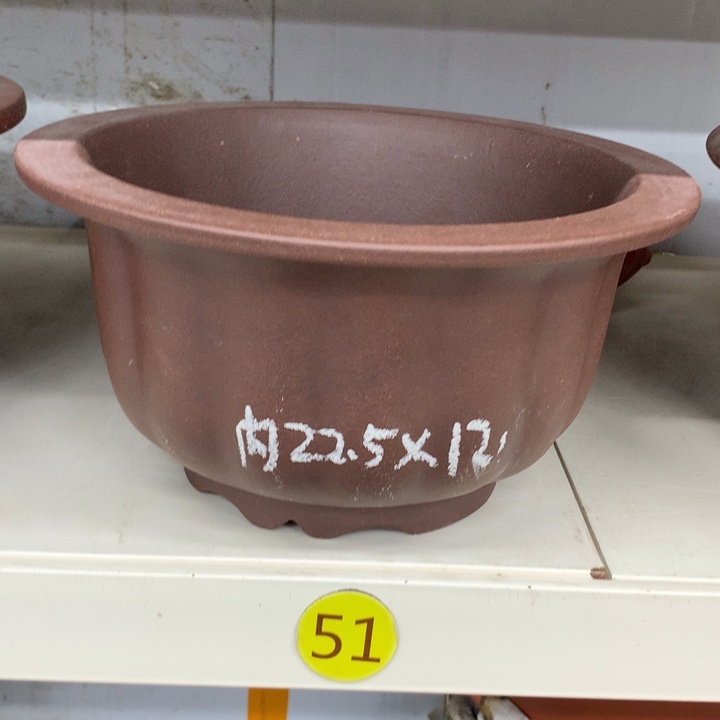 紫砂花盆熊*?紫砂花盆