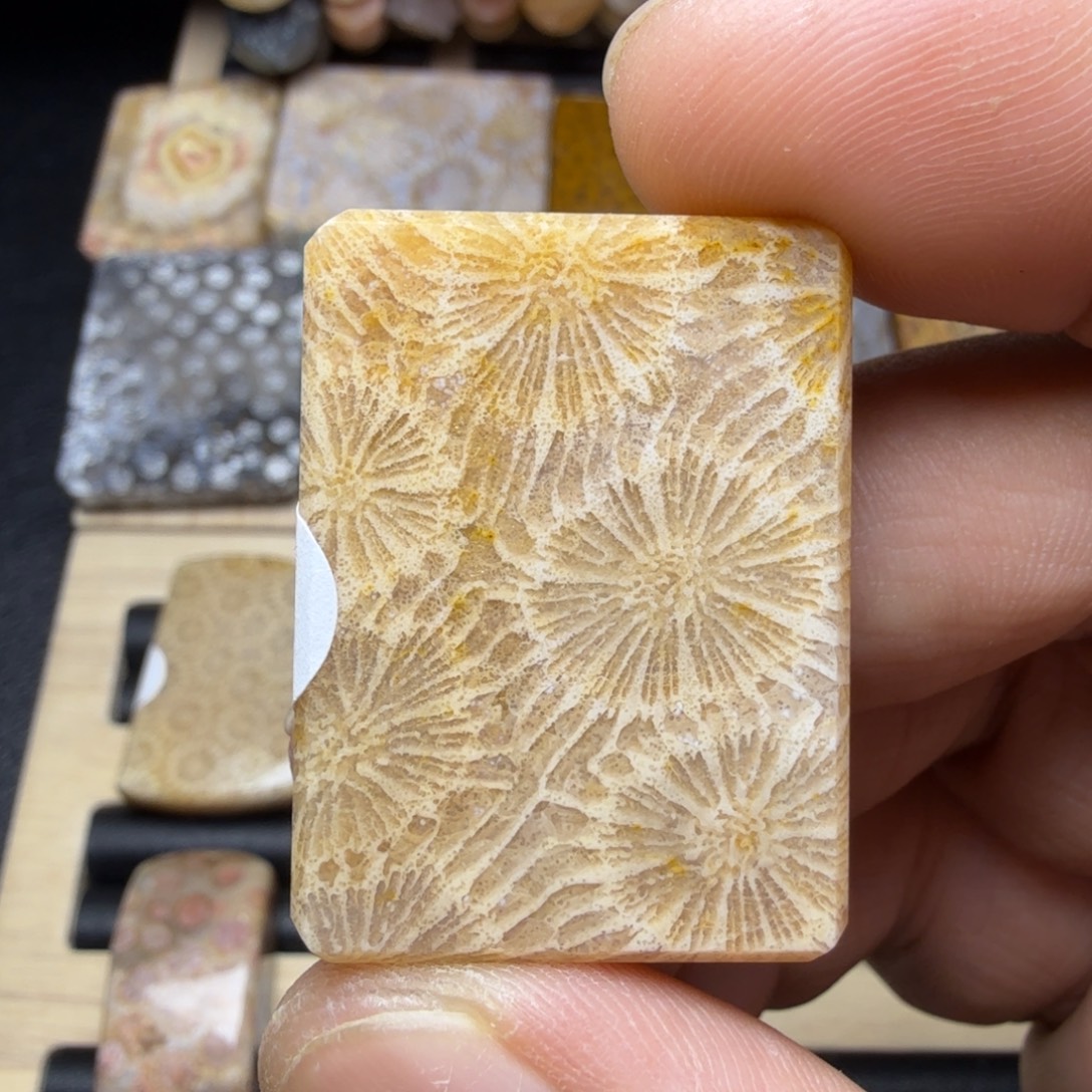 硅化玉未镶嵌纯天然色有机玉石保真色