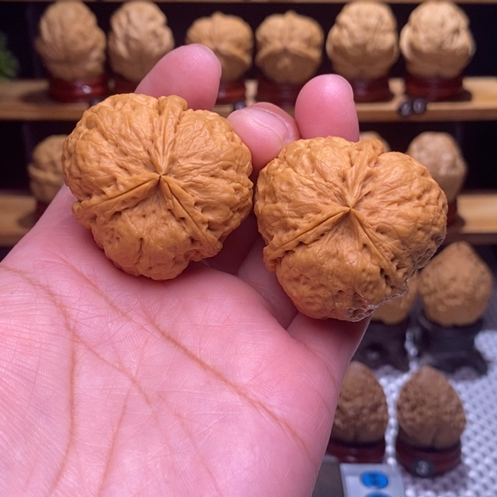 木质类云铁凹江龙91号