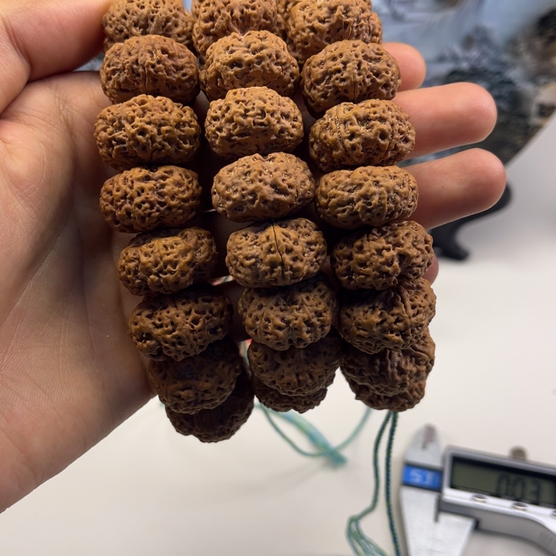 手串金刚菩提甲板21