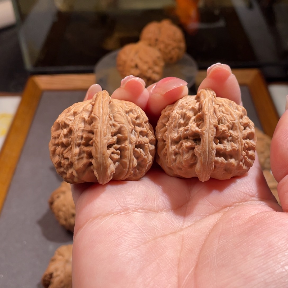 文玩核桃吊坠37.5白狮子