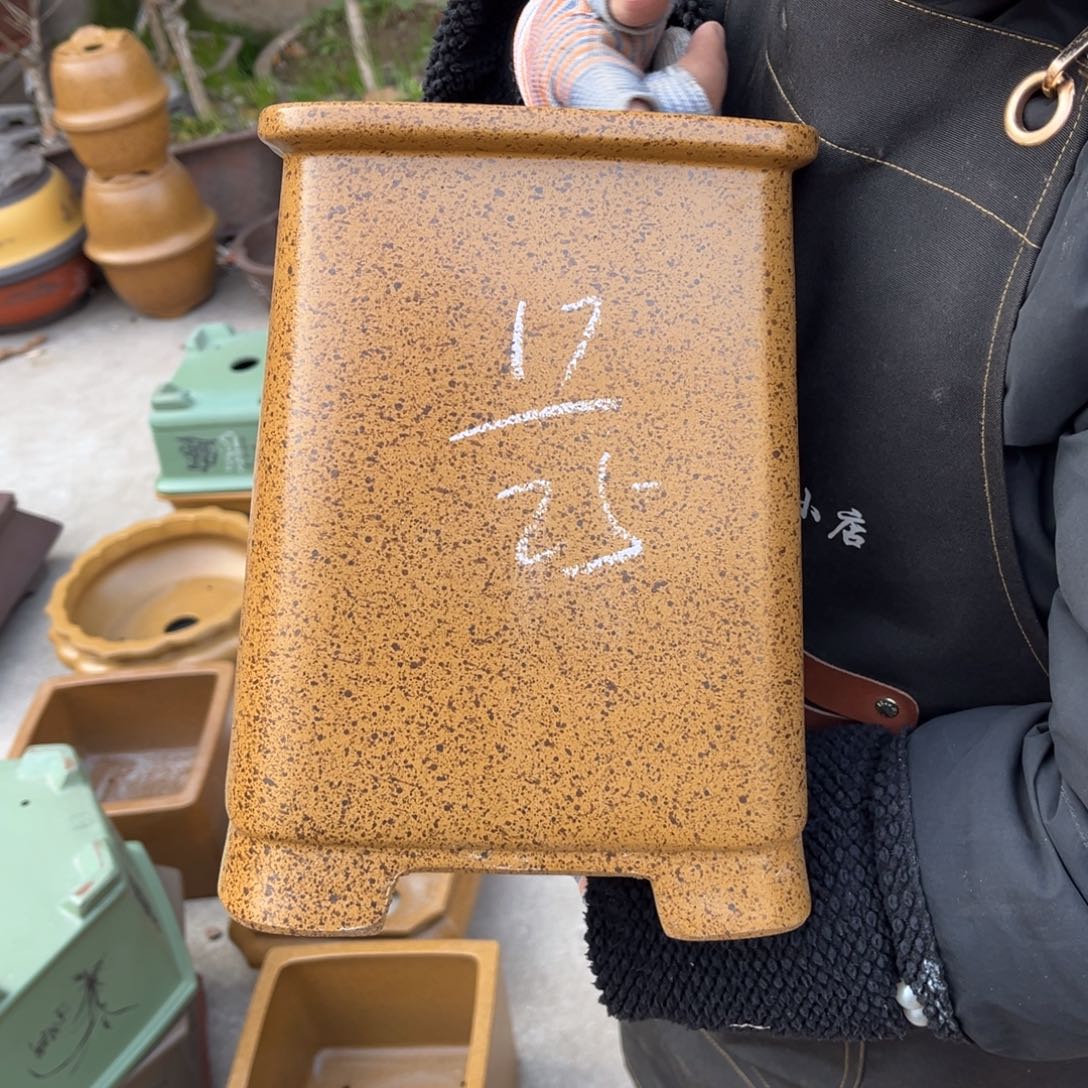 紫砂花盆盆景艺术