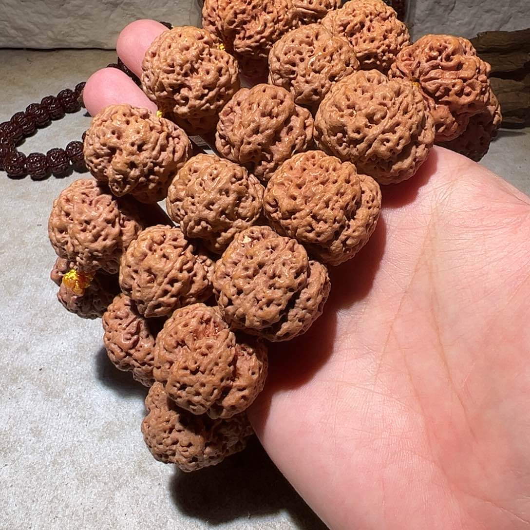 金刚菩提手串23尺寸左右不馊蜂王福利