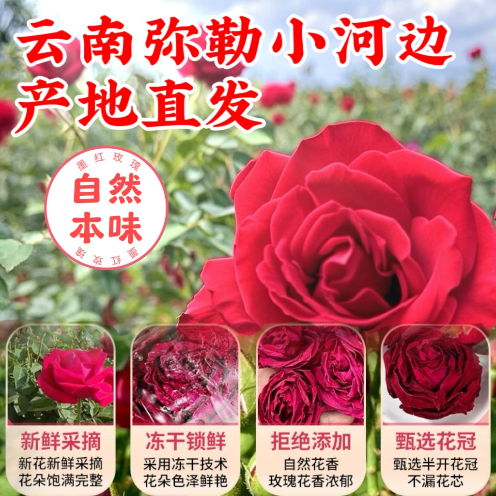 云南冻干墨红玫瑰手工精选大朵富含花青素女生好茶