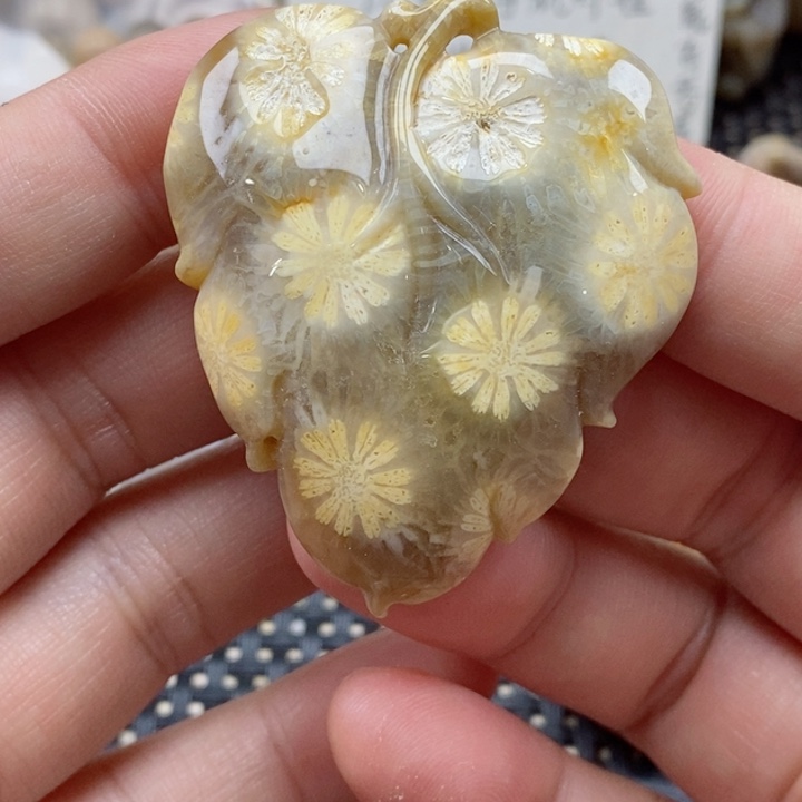 硅化珊瑚（珊瑚玉）颈饰未镶嵌