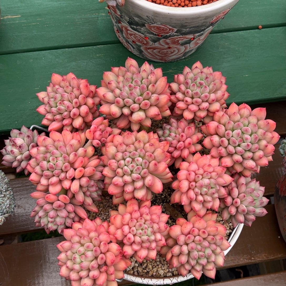 岩字全状态一物一拍