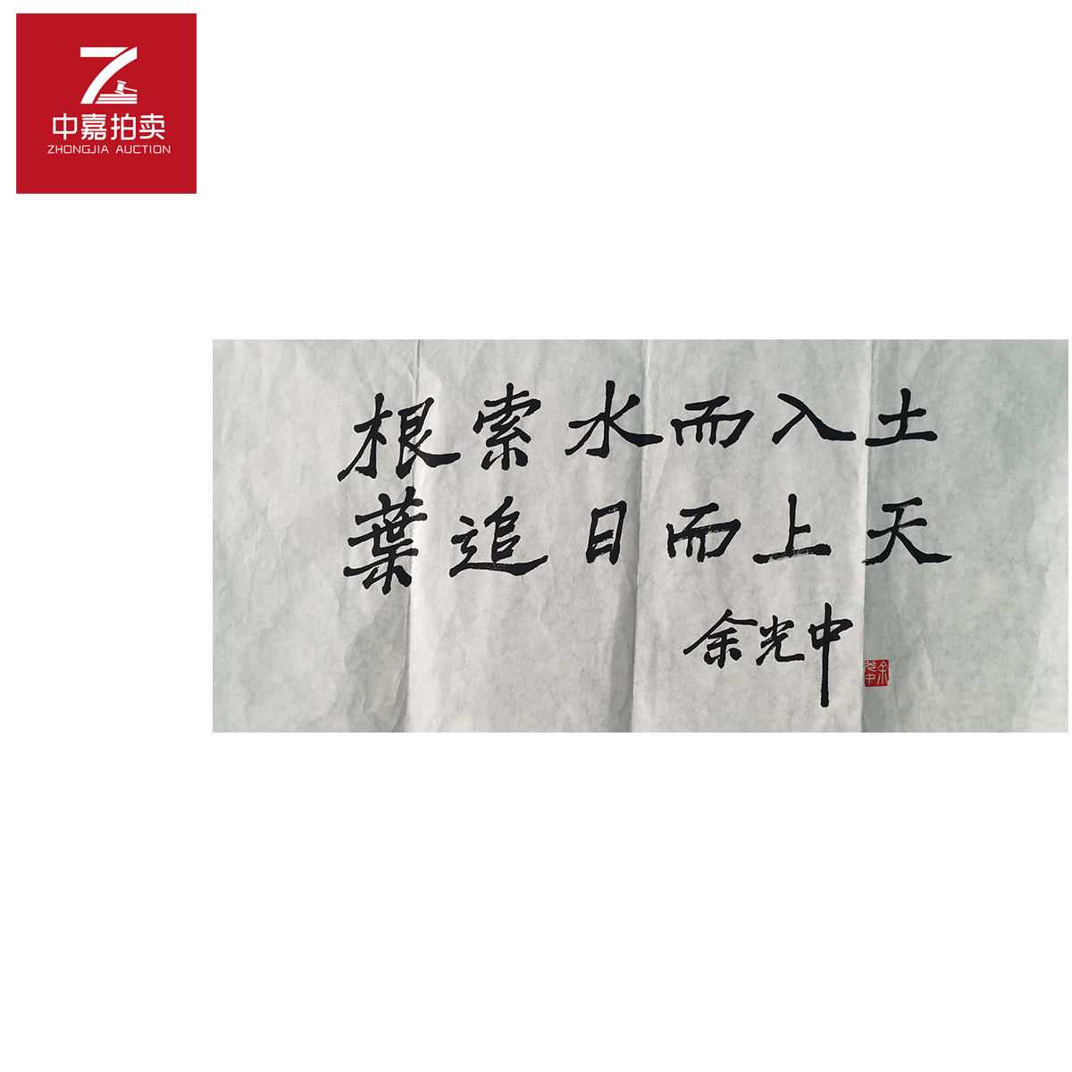 余光中书法软片根35x68