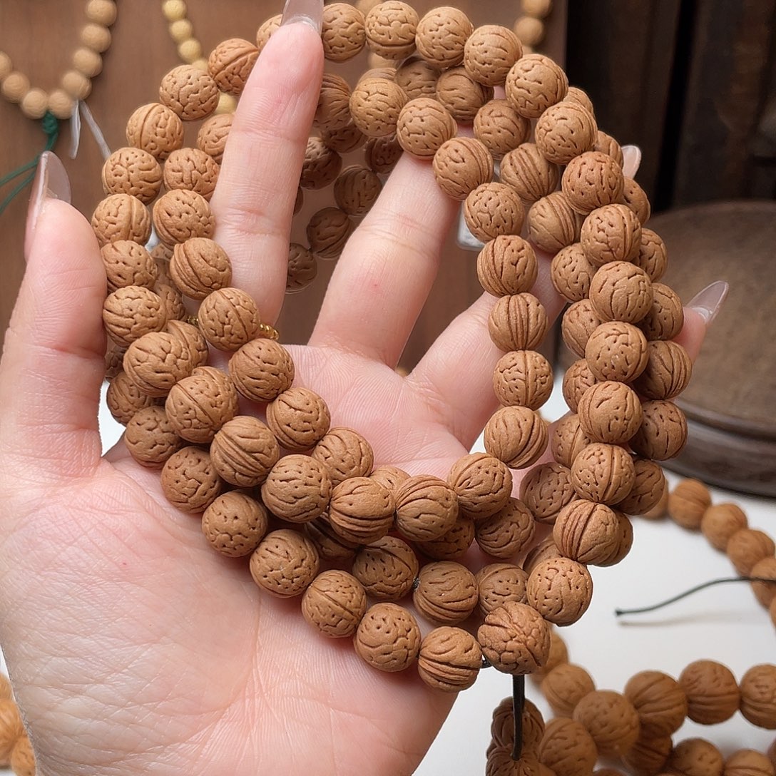 10加野生红皮肌肉