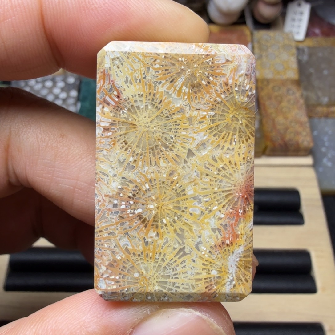 硅化玉未镶嵌纯天然色有机玉石保真色