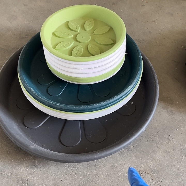 瑕疵托盘 只是托散编号1