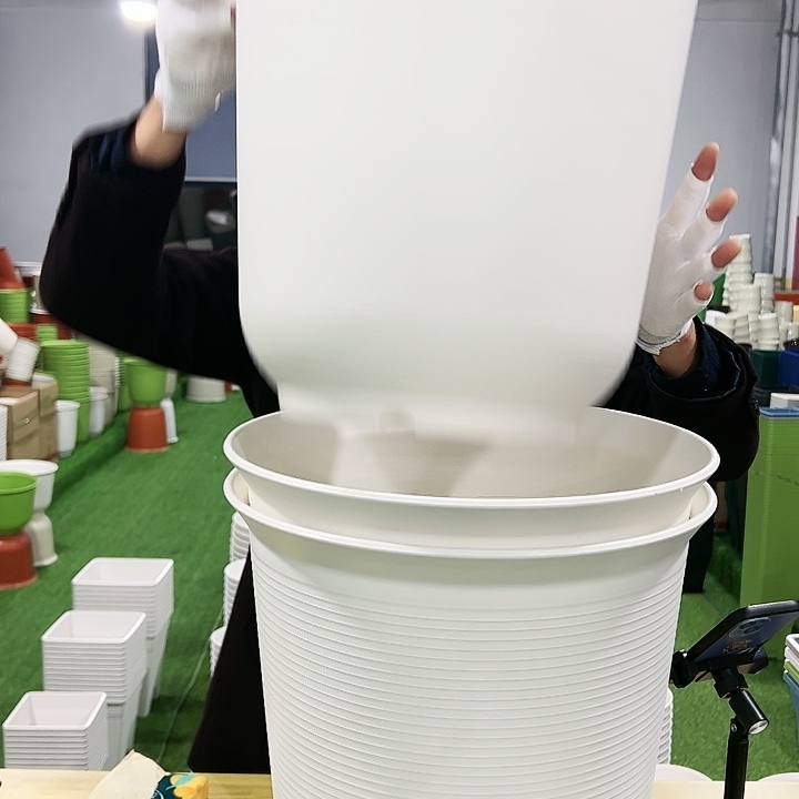 正品高陶口36高36白色2只无托