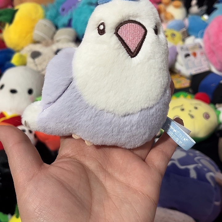 毛绒毛绒玩具专拍