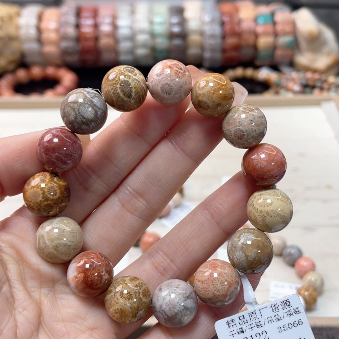 硅化珊瑚（珊瑚玉）手链未镶嵌好****安472