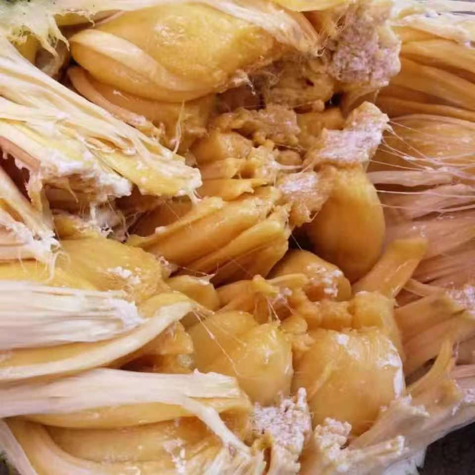 云南德宏湿包菠萝蜜牛肚子果麻朗黄肉整个木菠萝新鲜现摘菠萝蜜