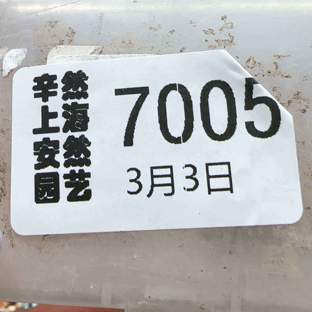 云*3。3。7005。 215饼干3。