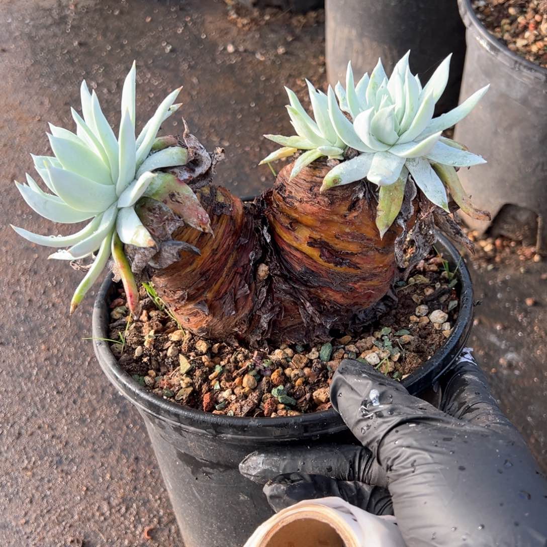 127哈哈哈哈哈哈哈哈