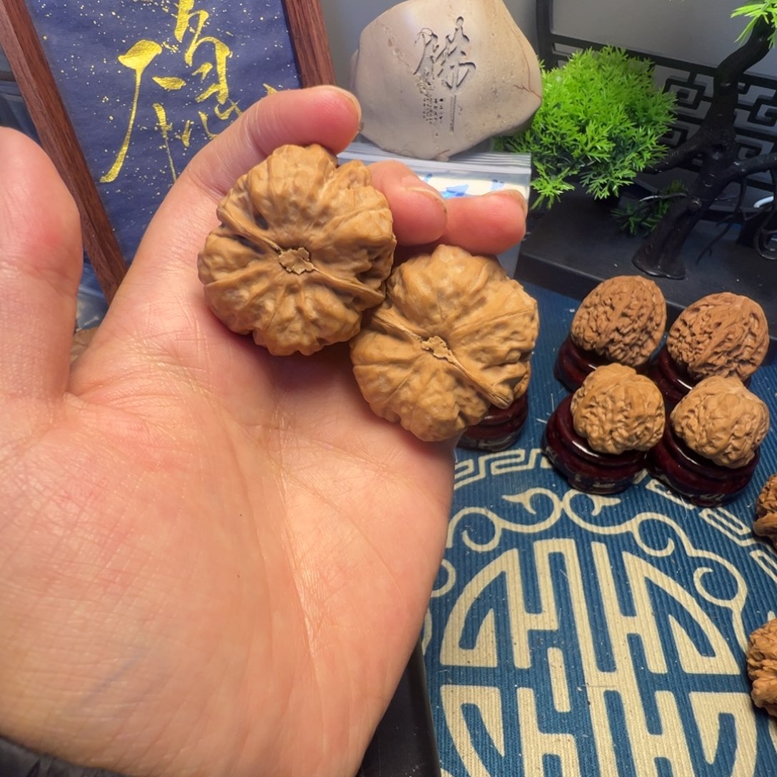 36尺白茬蛤蟆头核桃