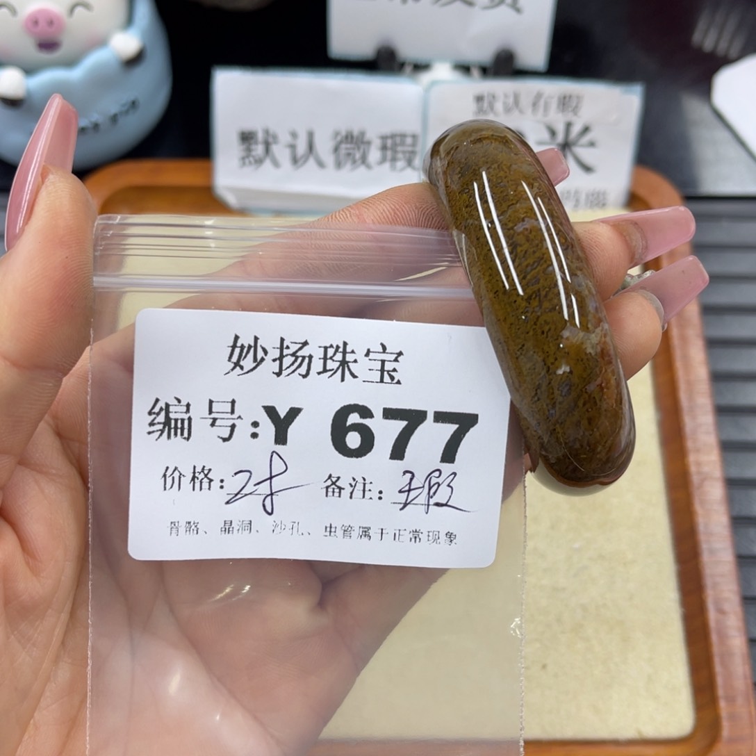 硅化珊瑚（珊瑚玉）a瑕未镶嵌一**猫