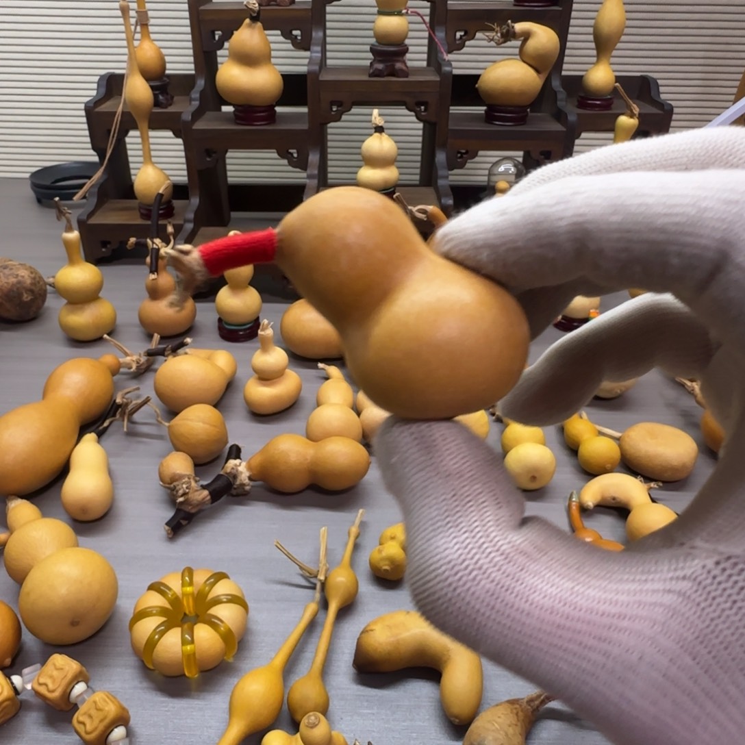 春***诺有机玻璃手把小猪小猪