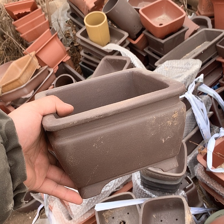 紫砂优秀青年科技人才创新人才