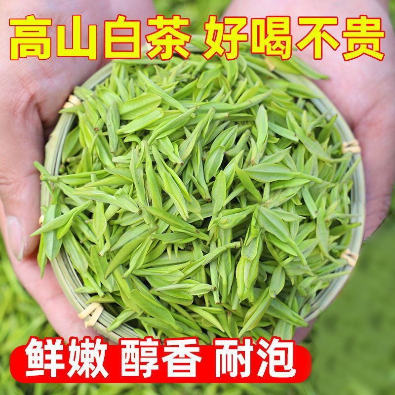 高山白茶新茶嫩芽鲜爽回甘安吉产地春茶