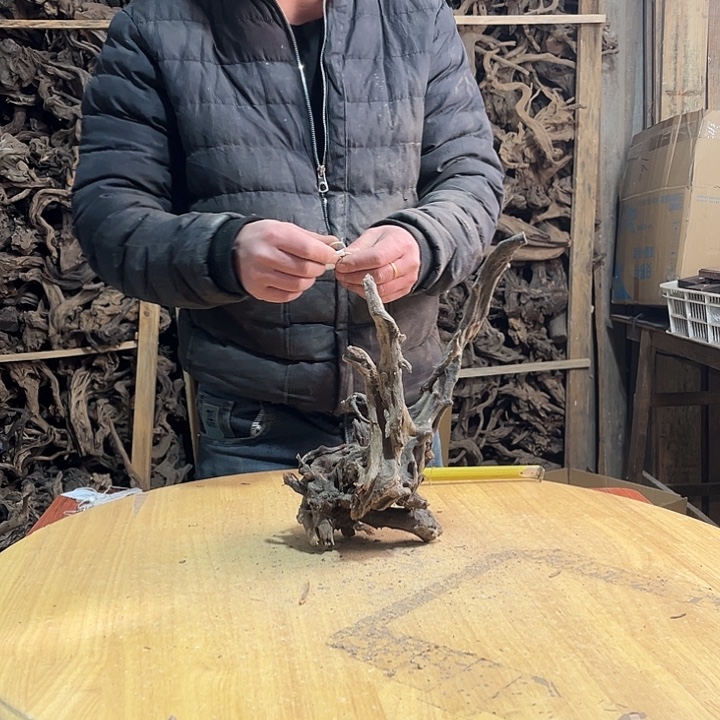 木鱼缸造景根雕艺术183