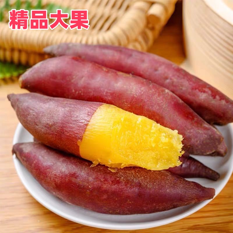 海南自种植新鲜天目现挖软糯香甜沙地粗粮早餐5斤装小香薯大果