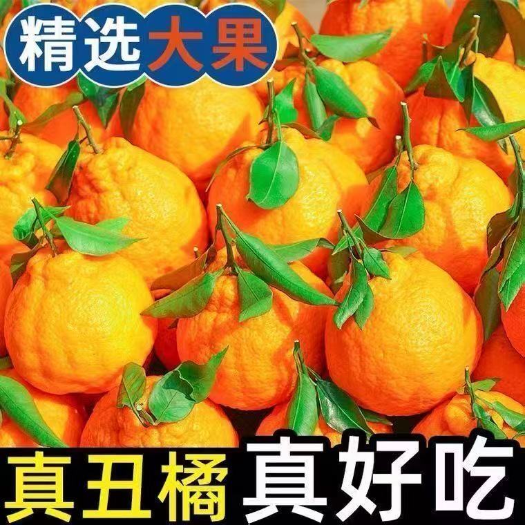 x正宗四川不知火丑橘新鲜水果包邮