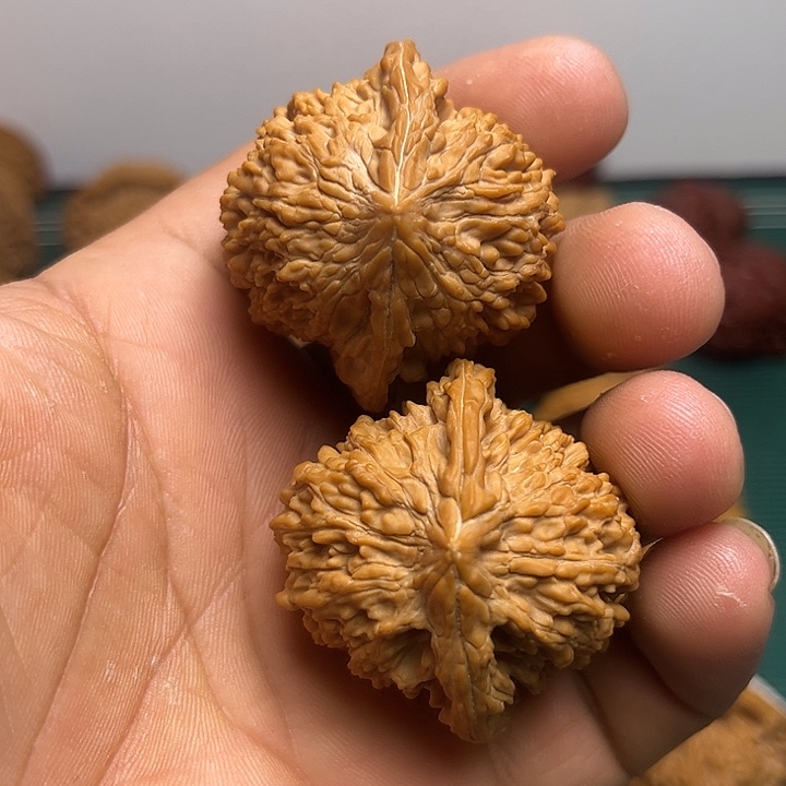 42尺全品无修满天星