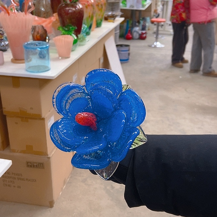 琉璃用****3琉璃花高45口9