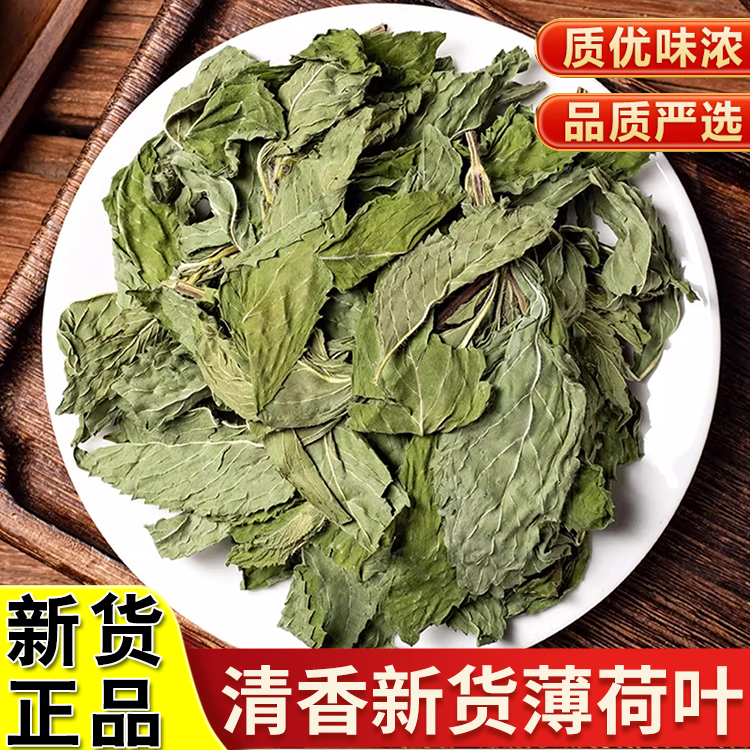 正品薄荷叶正宗道地精选新货薄荷叶搭配枸杞泡水泡茶喝滋补养生