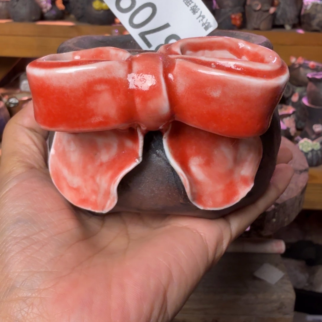 重庆小燕子欢迎大家709