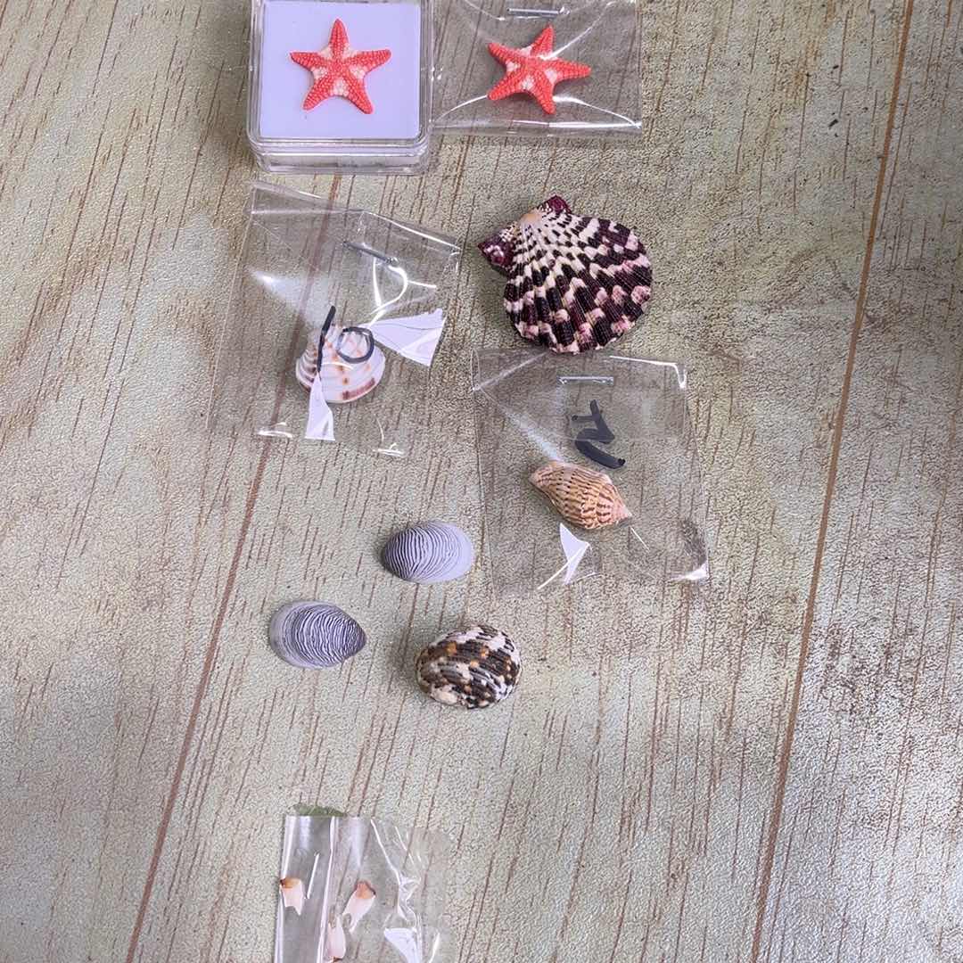 星*天然贝壳的制作