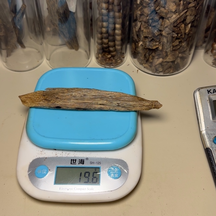 风车木（黑檀木）竹**风野生原母树19.6克