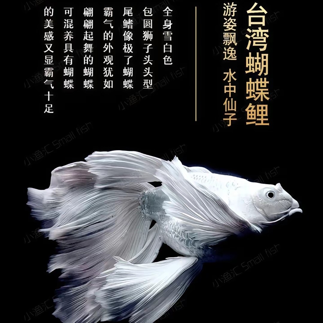 【主播改价】 专用链接 勿拍！！！