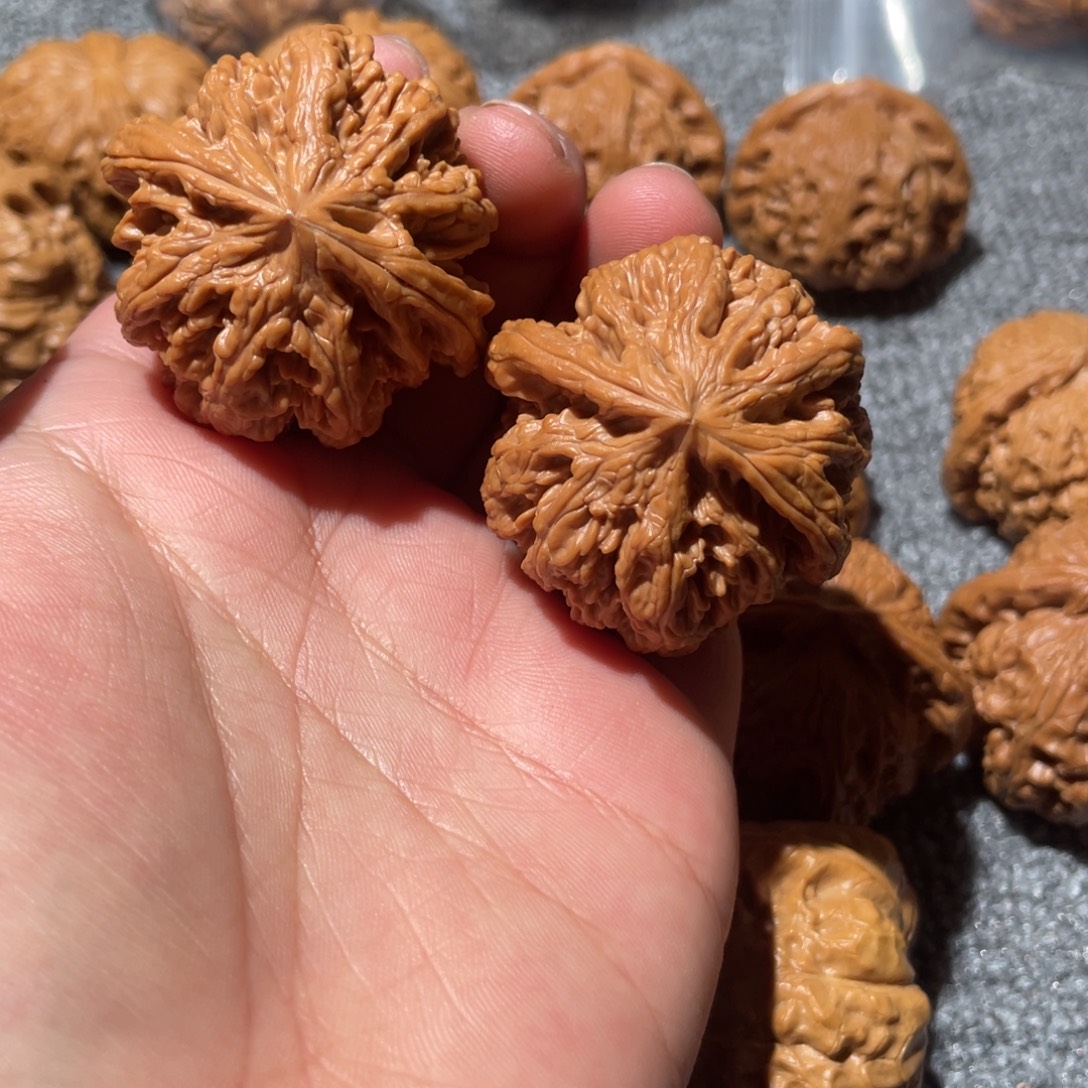 文玩核桃吊坠41全品粗筋