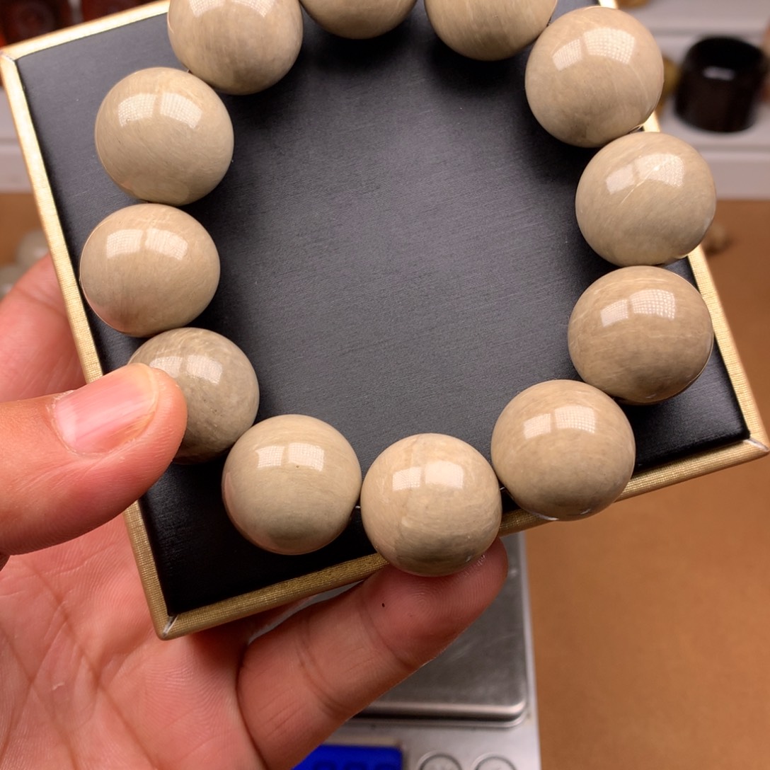 鹿骨其他天天开心快乐每一刻