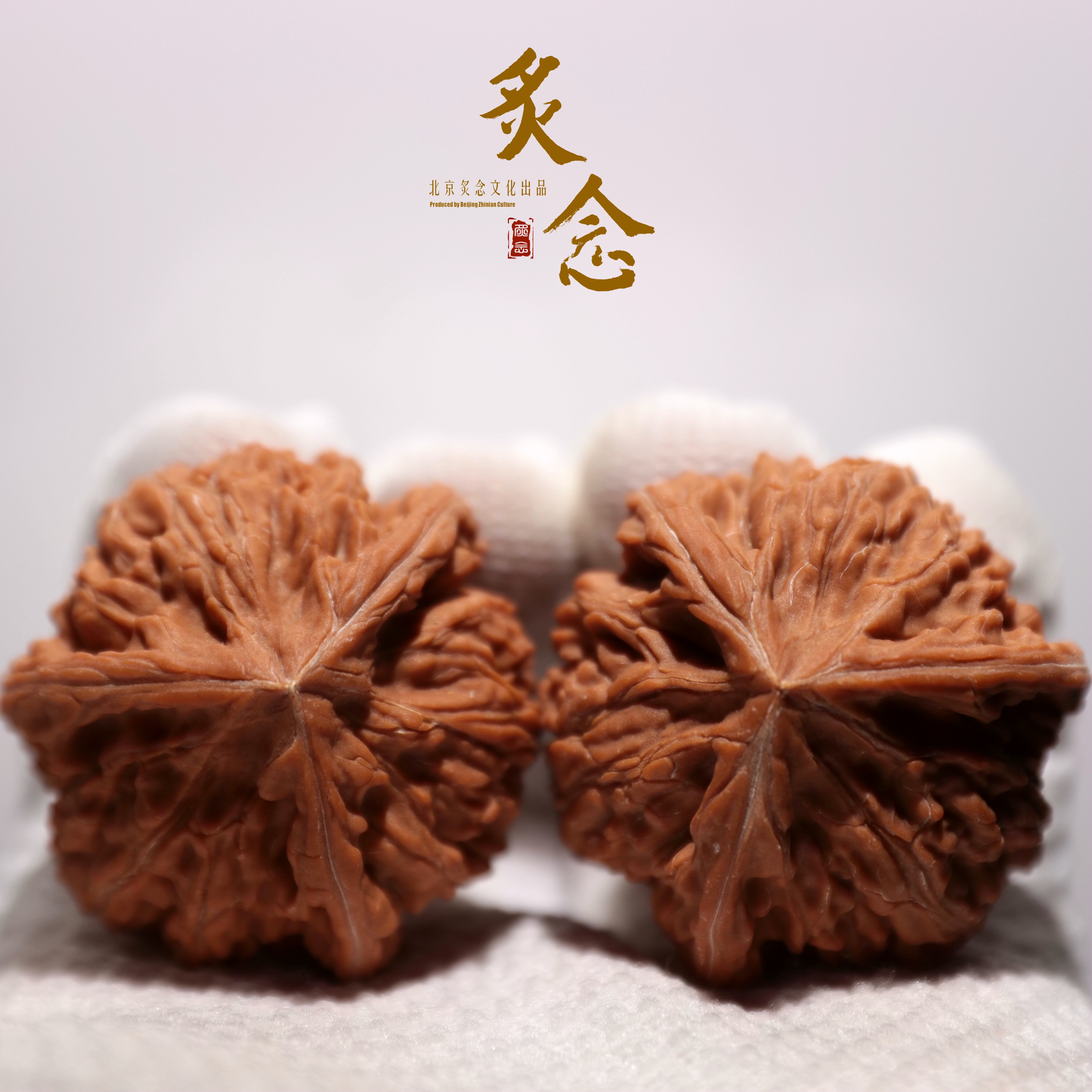 御龙粗筋正奔 · 43  一物一图 文玩好物 文山正奔