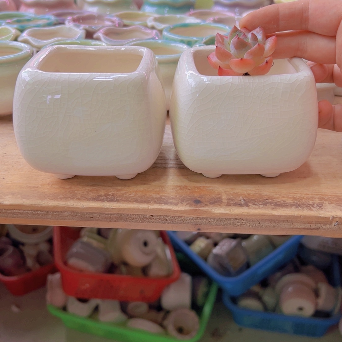 陶瓷花盆当场满12包邮