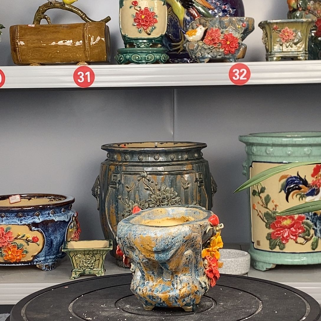 七***哥正宗岭南石湾盆上利亚。