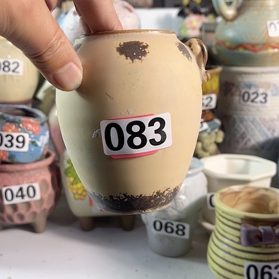 红陶多肉植物花盆