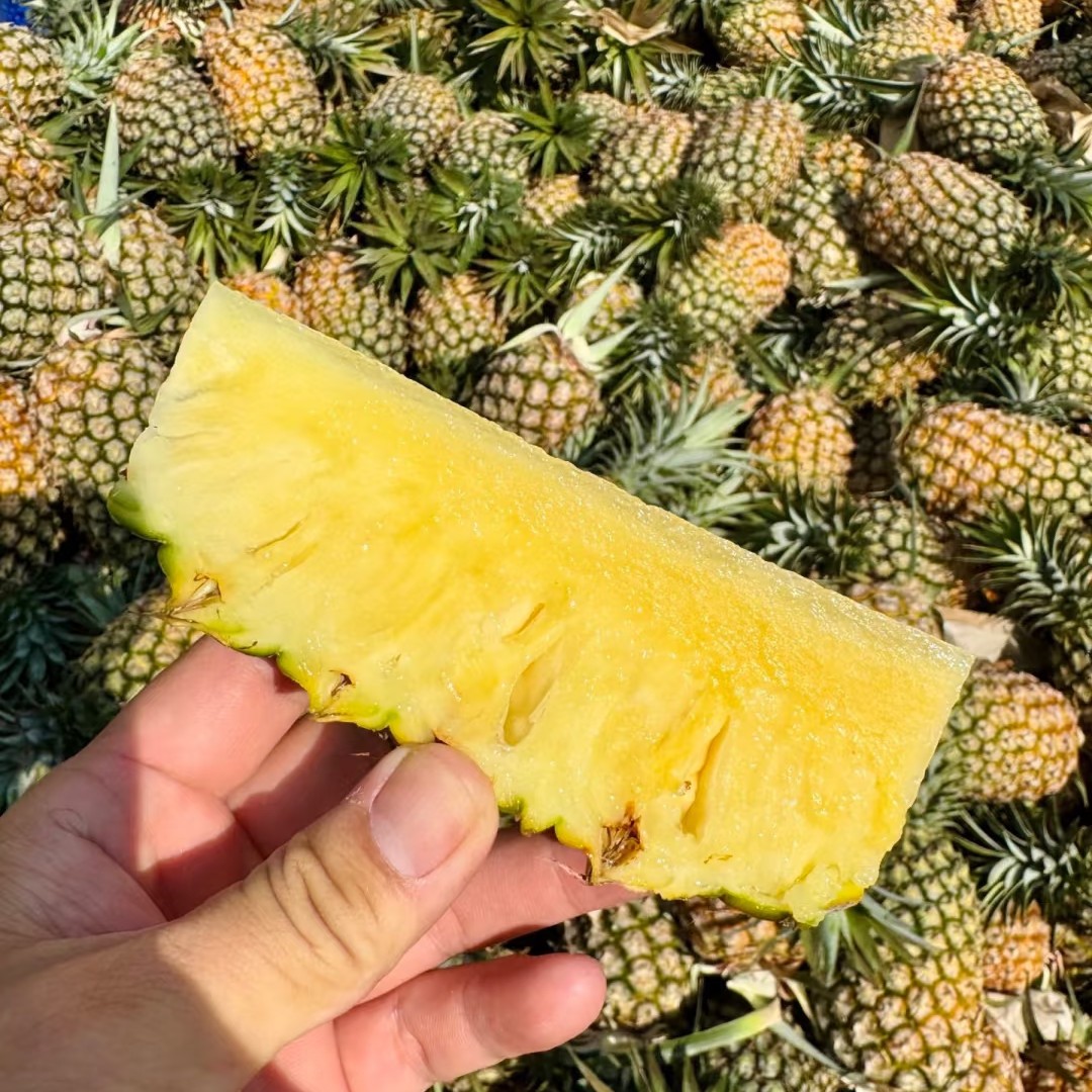 海南超甜凤梨一颗kg