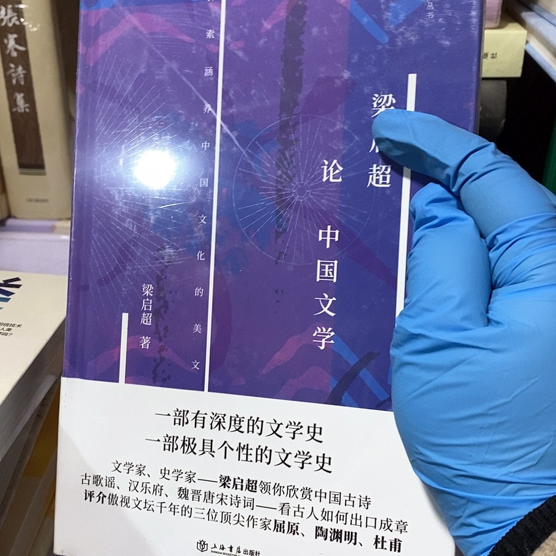 超论 中国文学   