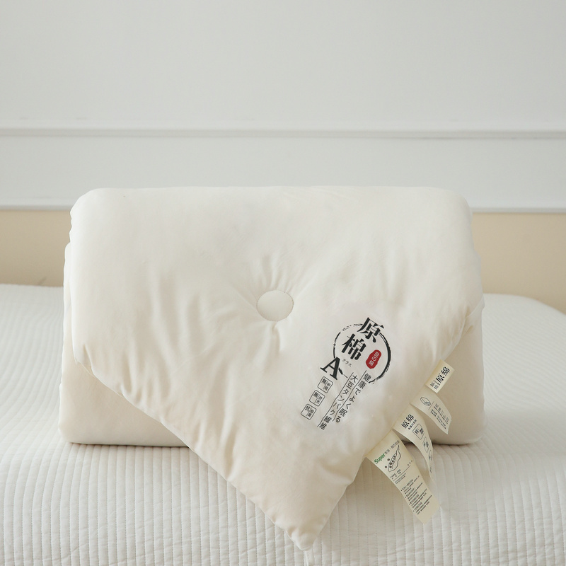 被子冬被保暖加厚棉被芯春秋被