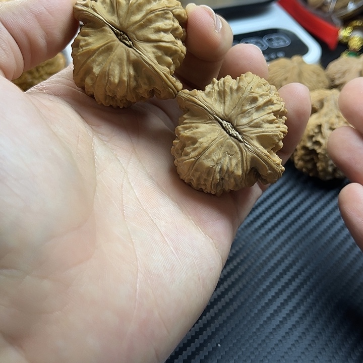 文玩核桃把件45全品白狮子