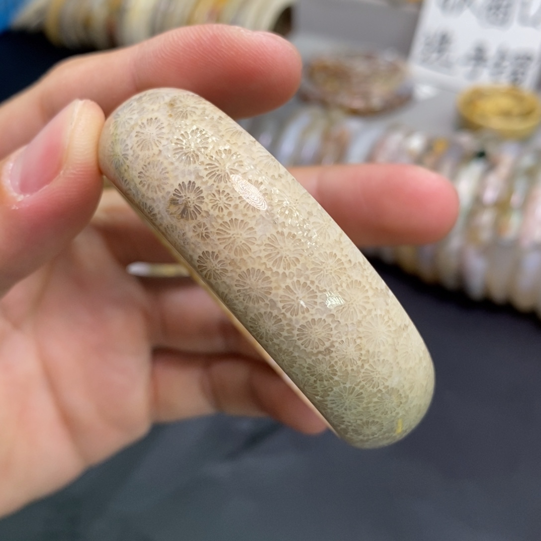 硅化玉未镶嵌珊瑚玉手镯