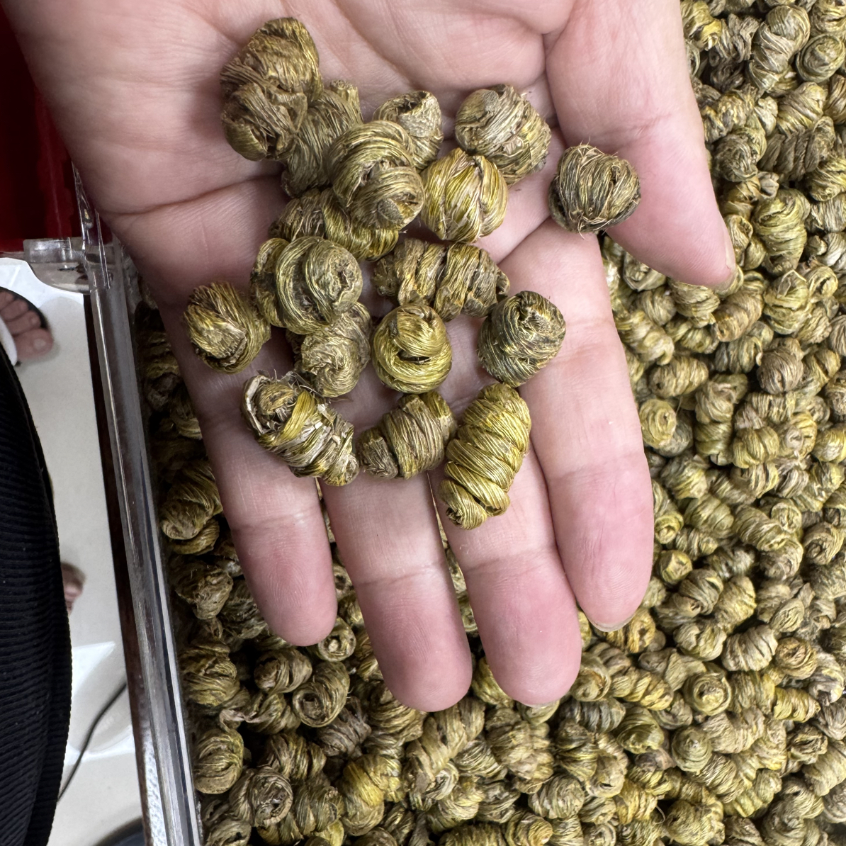 精选铁皮石斛枫斗颗粒饱满胶质多煲汤泡茶滋补养生