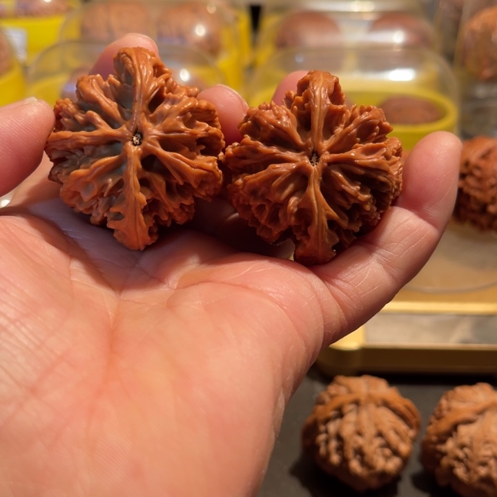 文玩核桃把件纯野生九龙筋45