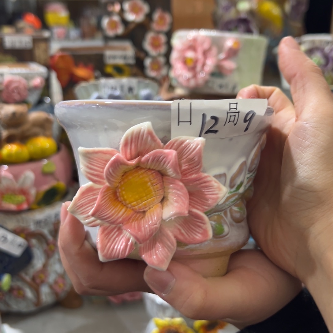 花盆，拍满20发货，退款拉黑