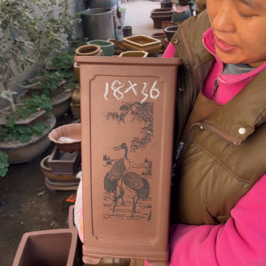 花盆紫砂盆景艺术